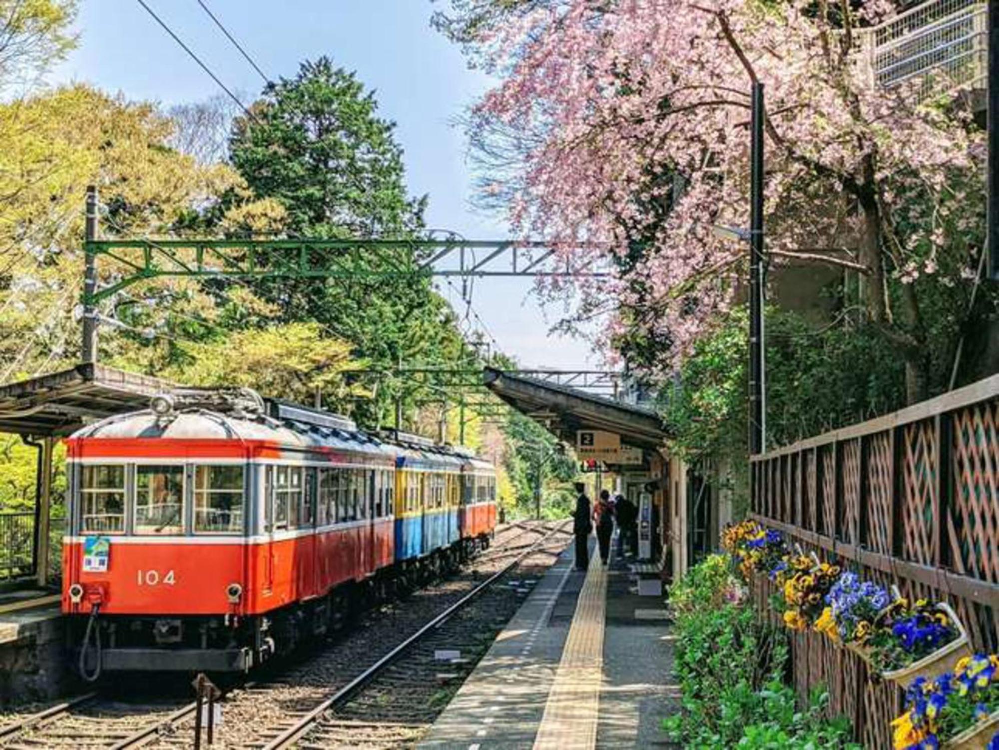 Hotel Morinokaze Hakone Sengokuhara Екстер'єр фото