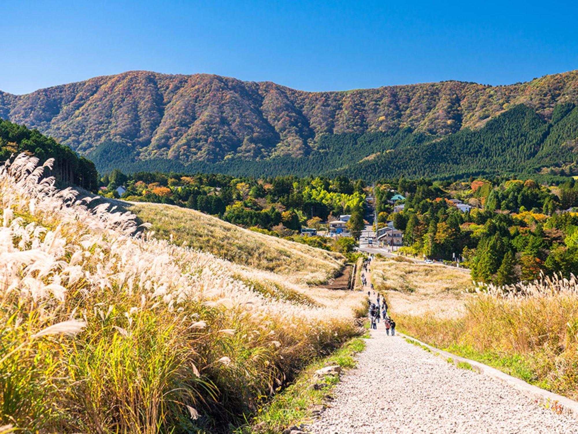 Hotel Morinokaze Hakone Sengokuhara Екстер'єр фото